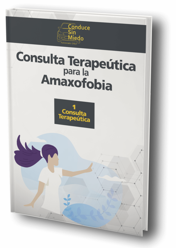 Consulta-Terapeutica-Amaxofobia-Autoescuela-Gala